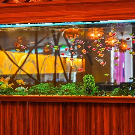 Gold Majesty Hotel 5*