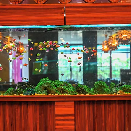 Otel Gold Majesty Bursa